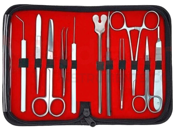 KIT DISSEZIONE IN ACCIAIO INOX AISI 202 PER ESERCITAZIONE - 11 pezzi - TORINOMED