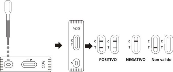 TEST HCG - GRAVIDANZA -TORINOMED