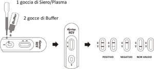 TEST HCV - TORINOMED