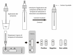 TEST HELICOBACTER PYLORY CONFEZIONE 20 TEST - TORINOMED