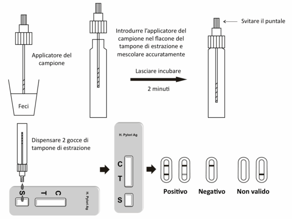 TEST HELICOBACTER PYLORY CONFEZIONE 20 TEST - TORINOMED